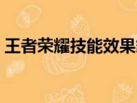 王者荣耀技能效果霸体是指（技能效果霸体）