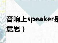 音响上speaker是什么意思（speaker是什么意思）