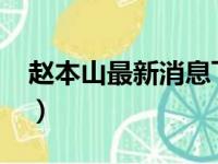 赵本山最新消息飞机（赵本山最新消息2016）