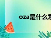 oza是什么意思（otz什么意思）