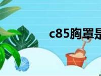 c85胸罩是什么尺寸（c85）