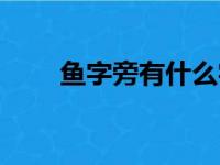 鱼字旁有什么字（虫字旁有什么字）