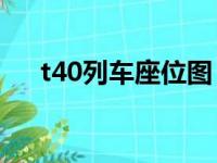 t40列车座位图（t41列车04车座位表）