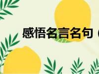 感悟名言名句（感悟名言作文500字）