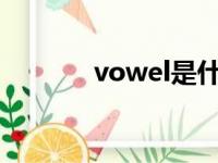 vowel是什么意思（vowels）