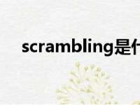 scrambling是什么意思（scrambling）