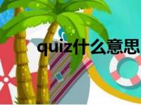 quiz什么意思中文（quiz什么意思）