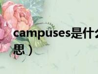 campuses是什么意思（campuse是什么意思）