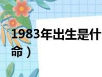 1983年出生是什么命格（1983年出生是什么命）