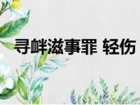 寻衅滋事罪 轻伤（寻衅滋事轻伤判6个月）