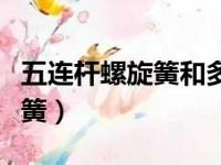 五连杆螺旋簧和多连杆独立悬挂（五连杆螺旋簧）