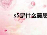 s5是什么意思（sbitch5什么意思）