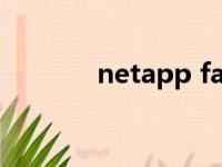 netapp fas8020（netapp）