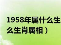 1958年属什么生肖属相的大了（1958年属什么生肖属相）