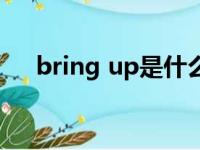 bring up是什么意思（up是什么意思）