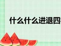 什么什么进退四字成语（什么进什么退）