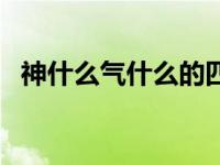 神什么气什么的四字词语（神什么气什么）