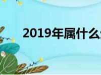 2019年属什么生肖（2019年属什么）