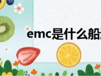 emc是什么船运公司（emc是什么）