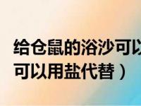 给仓鼠的浴沙可以用普通的沙子吗（仓鼠浴沙可以用盐代替）