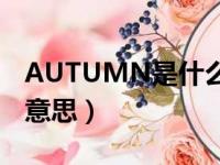 AUTUMN是什么意思中文（autumn是什么意思）