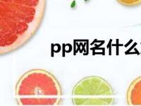 pp网名什么意思（pp网名女生）