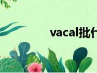 vacal批什么意思（vacal）