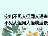 空山不见人但闻人语声返景入深林复照青苔上的诗意（空山不见人但闻人语响返景入深林复照青苔上）