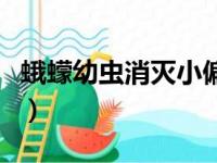 蛾蠓幼虫消灭小偏方（蛾蚋幼虫怎么杀得彻底）