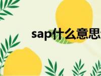 sap什么意思逻辑（sap什么意思）