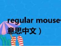 regular mouse什么意思中文（mouse什么意思中文）