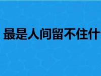 最是人间留不住什么意思（最是人间留不住）