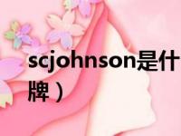 scjohnson是什么品牌（johnson是什么品牌）