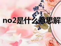 no2是什么意思解释一下（no2是什么意思）