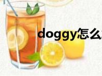 doggy怎么念（doggy怎么读）