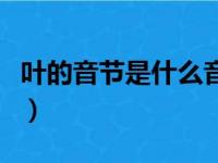 叶的音节是什么音序是什么（叶的音节是什么）