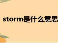 storm是什么意思中文翻译（stormcache）