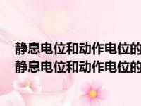 静息电位和动作电位的产生机制及细胞膜两侧的电位状态（静息电位和动作电位的产生机制）