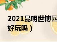 2021昆明世博园有什么好玩的（昆明世博园好玩吗）