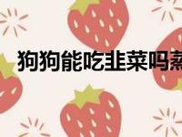 狗狗能吃韭菜吗蒸熟的（狗狗能吃韭菜吗）