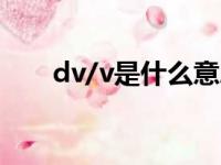 dv/v是什么意思（dvvt是什么意思）