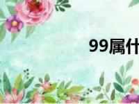 99属什么生肖（99s）