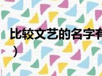 比较文艺的名字有哪些男生（比较文艺的名字）