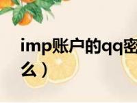 imp账户的qq密码（imap账户qq密码是什么）