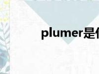 plumer是什么意思（plume）