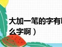 大加一笔的字有哪些字15个（小加一笔是什么字啊）