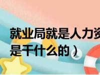 就业局就是人力资源和社会保障局吗（就业局是干什么的）