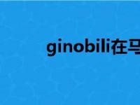 ginobili在马刺2003（ginobili）