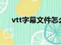 vtt字幕文件怎么用（字幕文件怎么用）