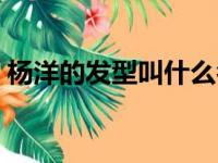 杨洋的发型叫什么名字（杨洋的发型叫什么）